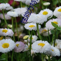 918博天堂·(中国)手机版客户端