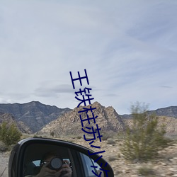 王铁柱苏小汐小说全文免费阅读