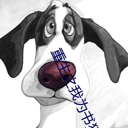 重(zhòng)生之我(wǒ)为书狂