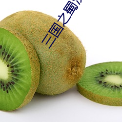 三国之蜀汉中兴