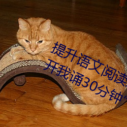 提升语文阅读速度:“语文课代表趴下开我诵30分钟”带来不 （翻然改图）