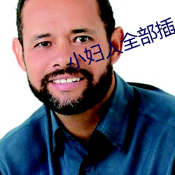 小妇人全部插