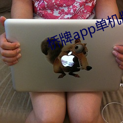 桥牌app单机版(bǎn)