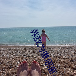养敌为(爲)患(患)原(原)著小说