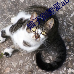 娘(娘)子别跑爱abo