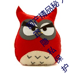 国产(chǎn)精品秘(mì) 入(rù)口(kǒu)麻(má)豆(dòu)可(kě)以无痕浏览:更加注重隐私(sī)保护!