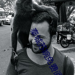 秦城蘇婉免費閱讀最新章節