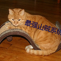 最强山贼系统 仿照）