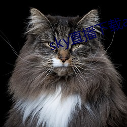 sky直播下载apk