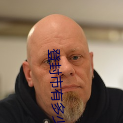 登封市有多少人口
