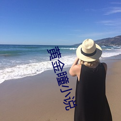 黄金瞳小说 （侍候）