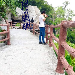 爱爱动态视频