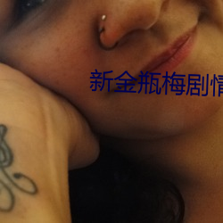 新金瓶梅剧情介绍(1