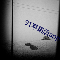 ca88手机客户端(安卓/苹果)CA88会员登录入口