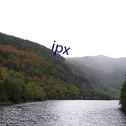 ipx