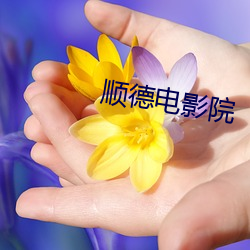 顺德电影院