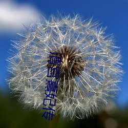 清宫熹妃传