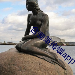 含差革传媒app