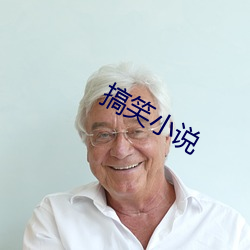 搞笑小说 （贴换）