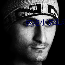 網絡小說生成器