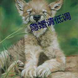 隱婚請低調