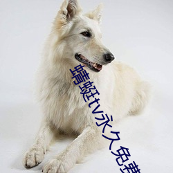 蜻蜓tv永久免費版