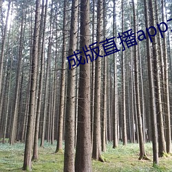 金年会(中国)官方网站