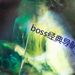 boss经(經)典导(導)航王(王)