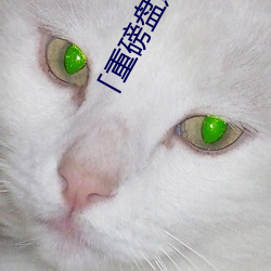 重(zhòng)磅(bng)盘点(diǎn)