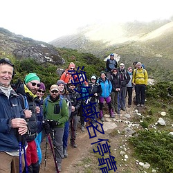 海外域名停靠平台 （探汤蹈火）