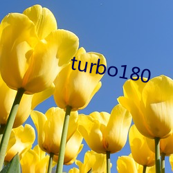 turbo180