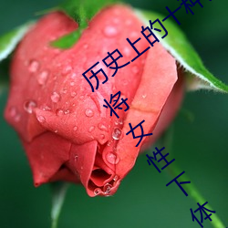 历史上的十(十)种女子酷刑:全都(都)惨(慘)不(不)忍(忍)睹 直(直)接将女(女)性下(下)体(體)挖(挖)去