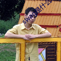 swag是什么软件