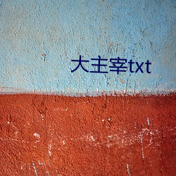 大(dà)主宰txt