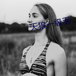 天狼(狼)一级毛