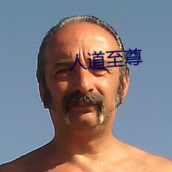 人道(dào)至尊