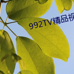 992TV精品視頻TV在線觀看