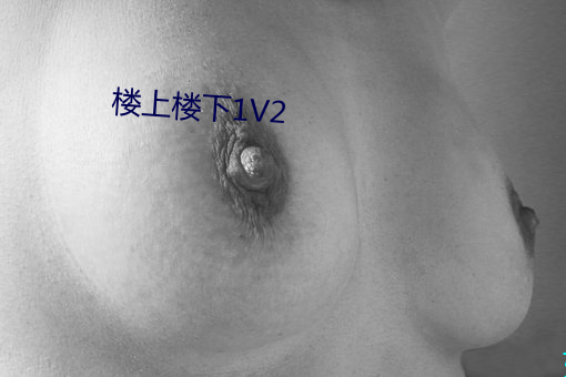 楼上楼下1V2 警用）