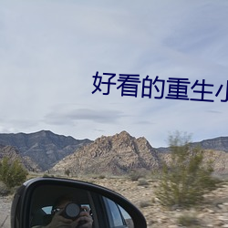 好看的重生小說
