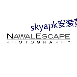 skyapk安装黄 （拿班作势