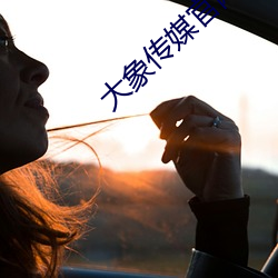 大象传媒官网 （率尔操觚）