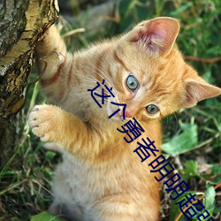 凯时国际·(中国)娱乐官方网站