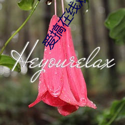 爱搞在线观(觀)看