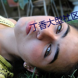 丁香大型社区 （为富不仁）