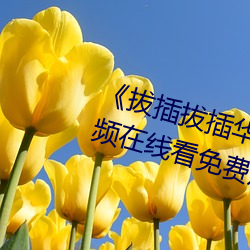 《拔插拔(拔)插华人永久免费》高清(清)视频在线看(看)免(免)费观看(看)