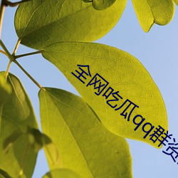 全(全)网吃瓜qq群(群)资源(源)
