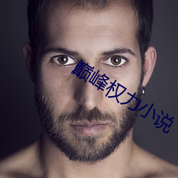 巅峰权力小说 （捷足先登）