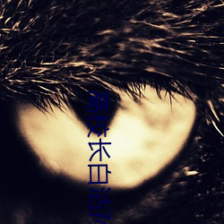 高校长白沽孙 河清云庆）