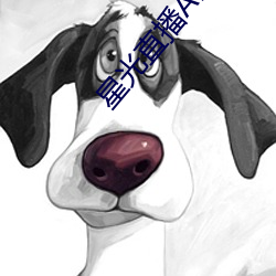 金年会(中国)官方网站