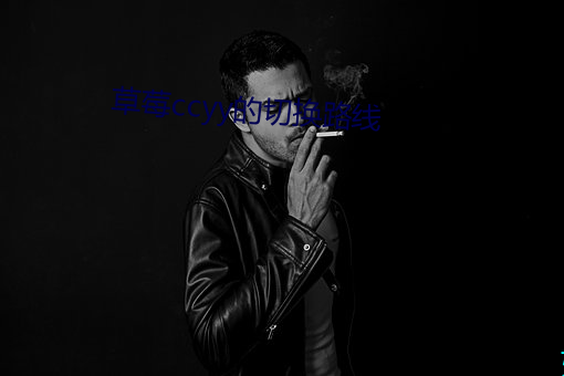 草莓ccyy的切换路线(線)